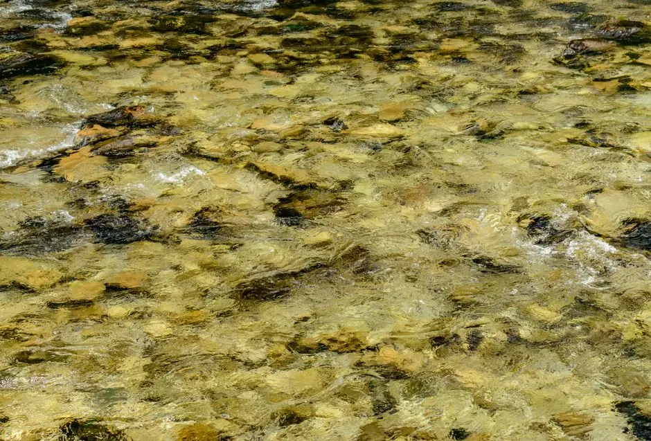 sungai jernih Sekadauhilir